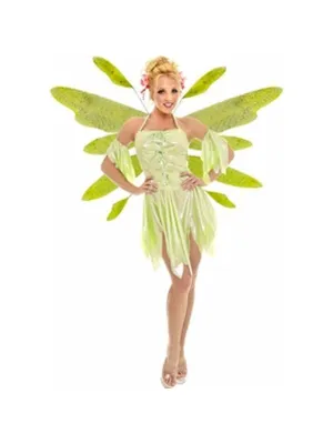Adult Green Nymph Fairy Costume