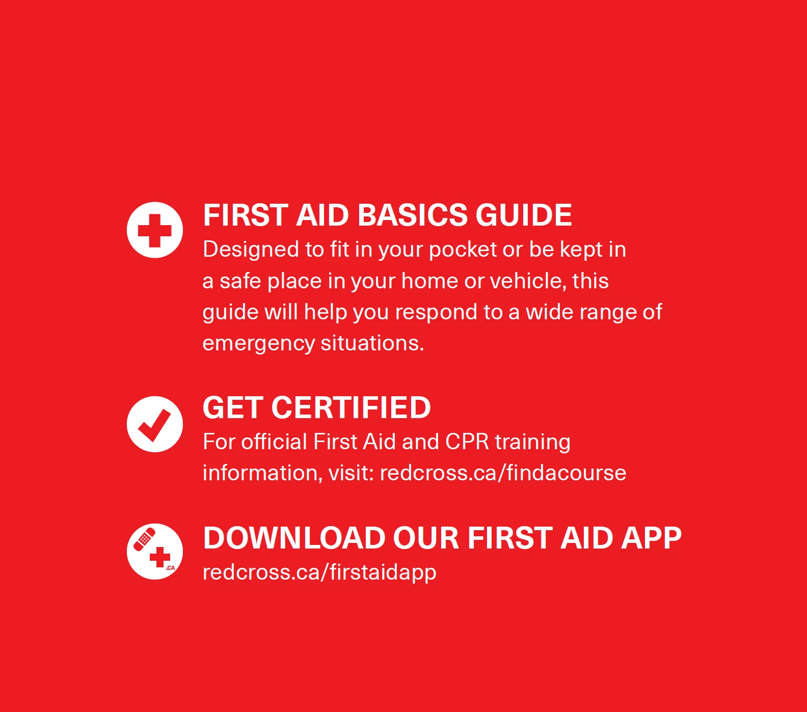 First Aid Basics Guide