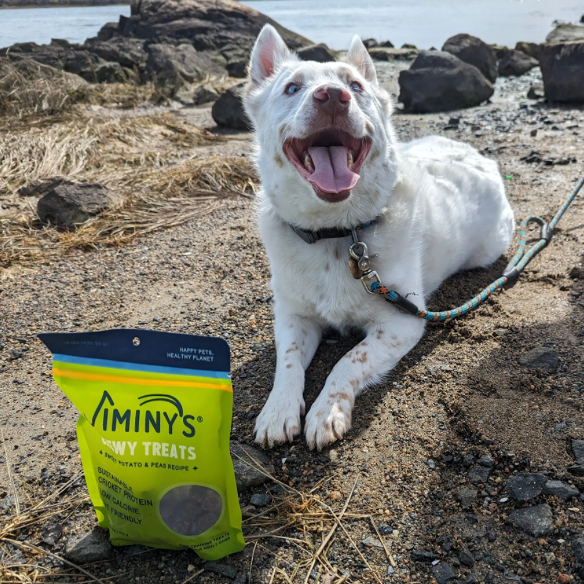 Jiminy's Chewy Treats for Dogs