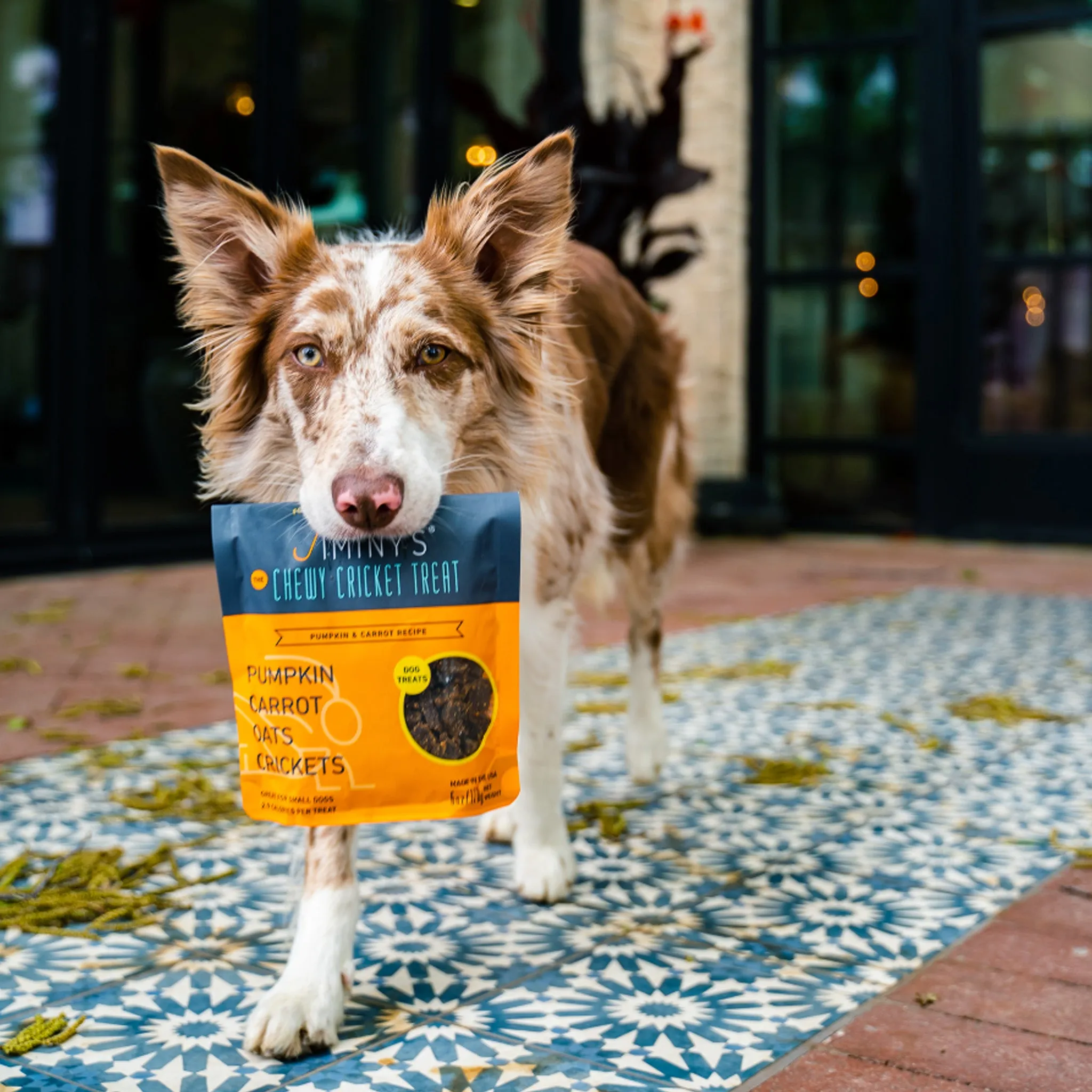 Jiminy's Chewy Treats for Dogs