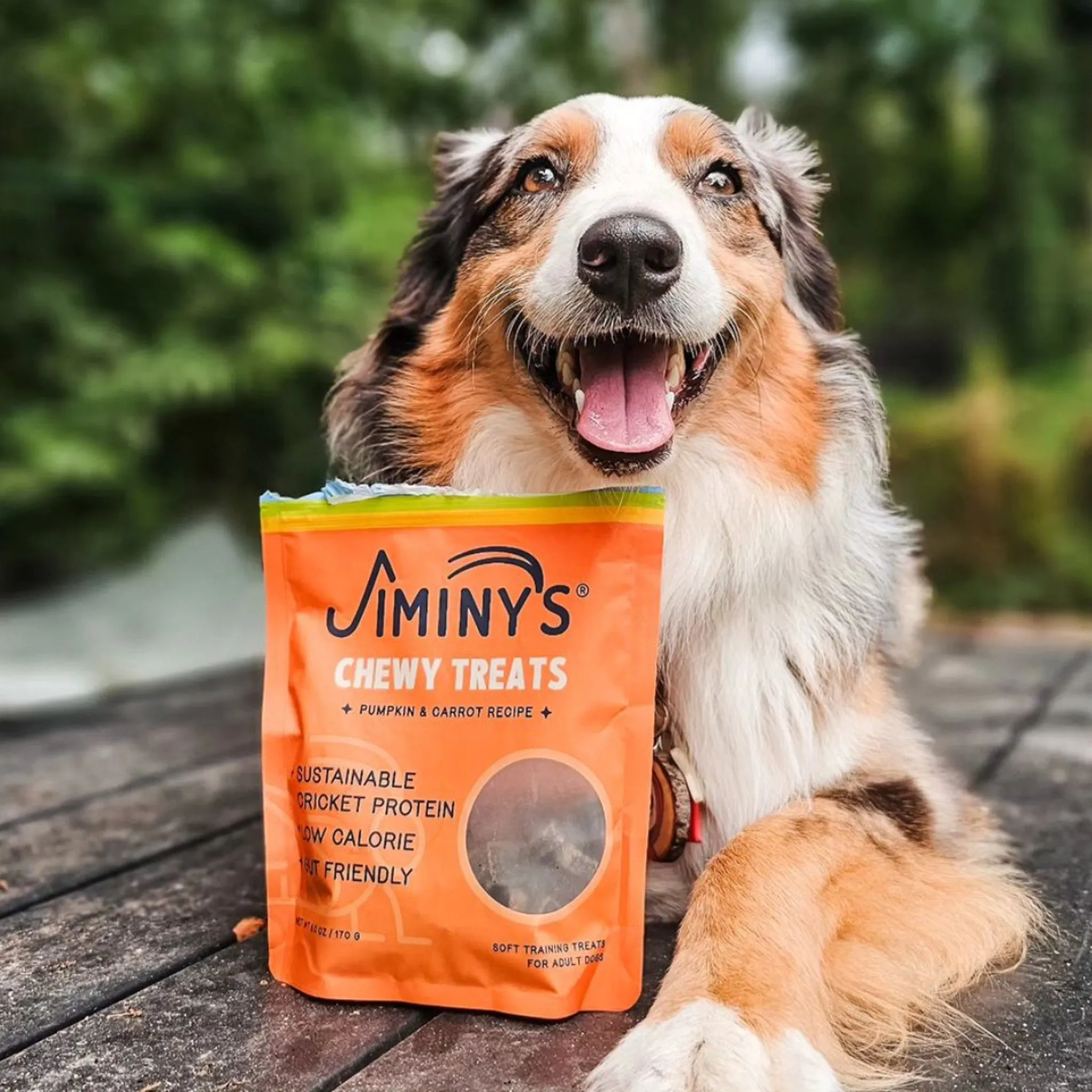 Jiminy's Chewy Treats for Dogs
