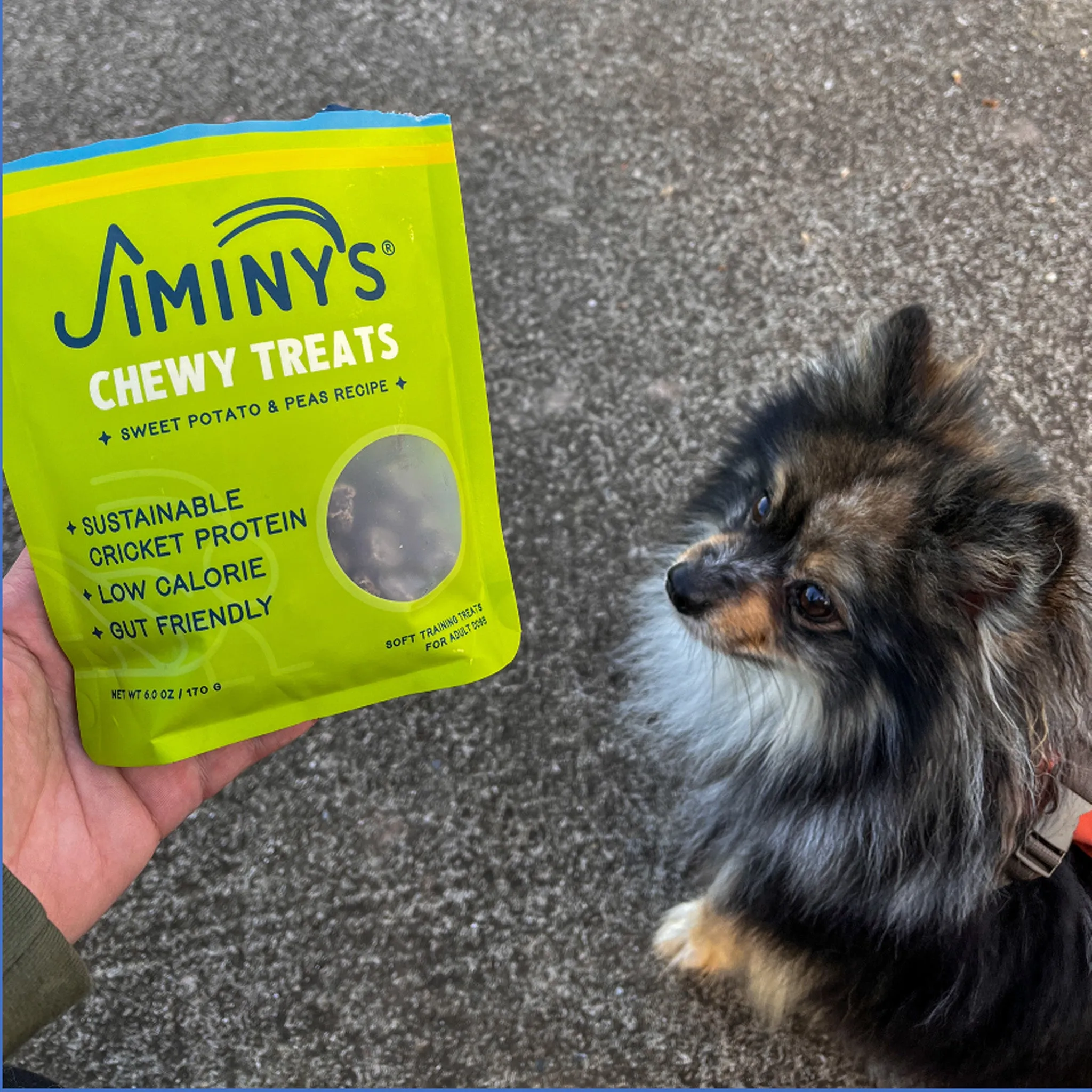 Jiminy's Chewy Treats for Dogs