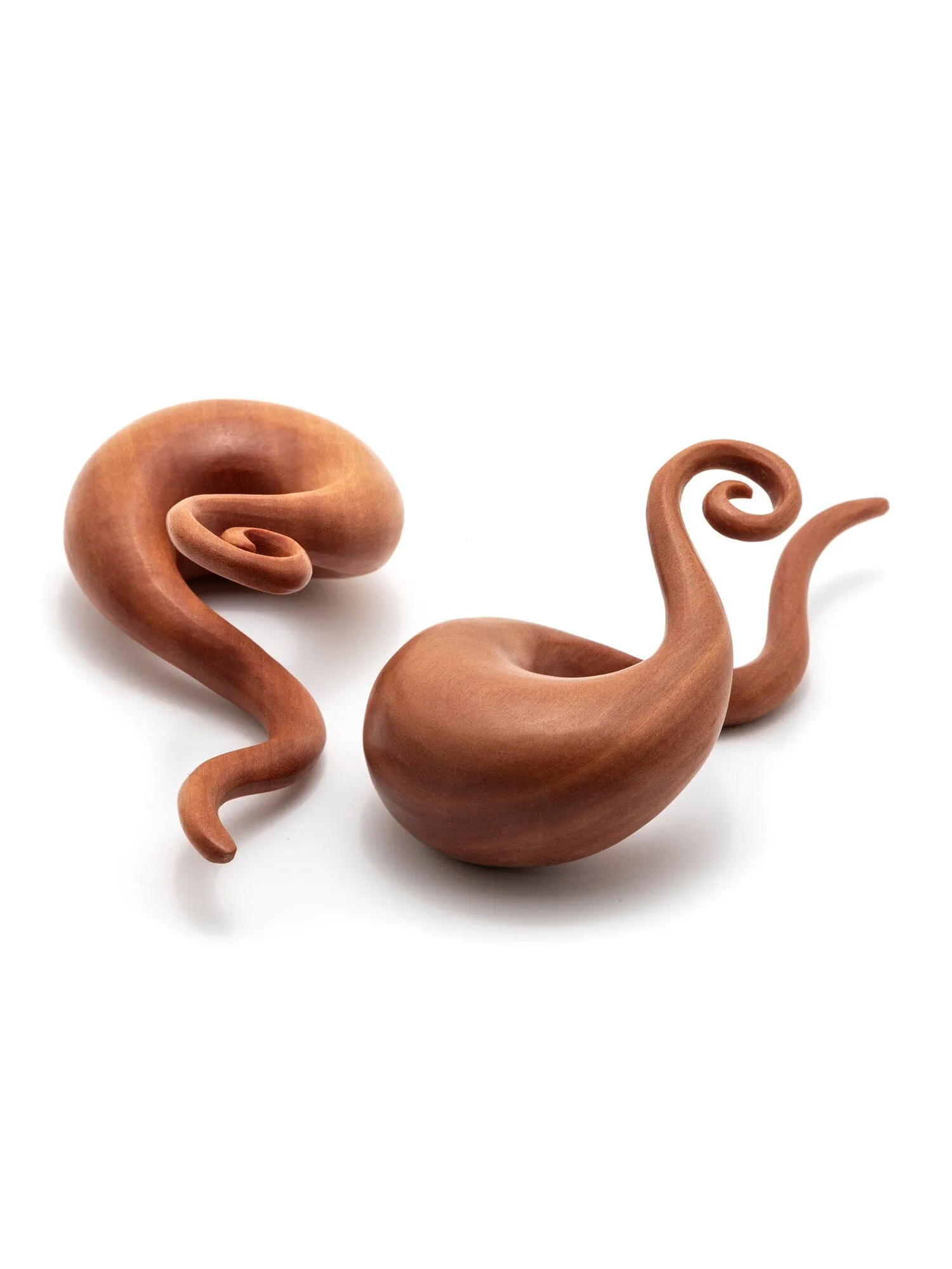 Sawo Snake Curl Wood Hangers