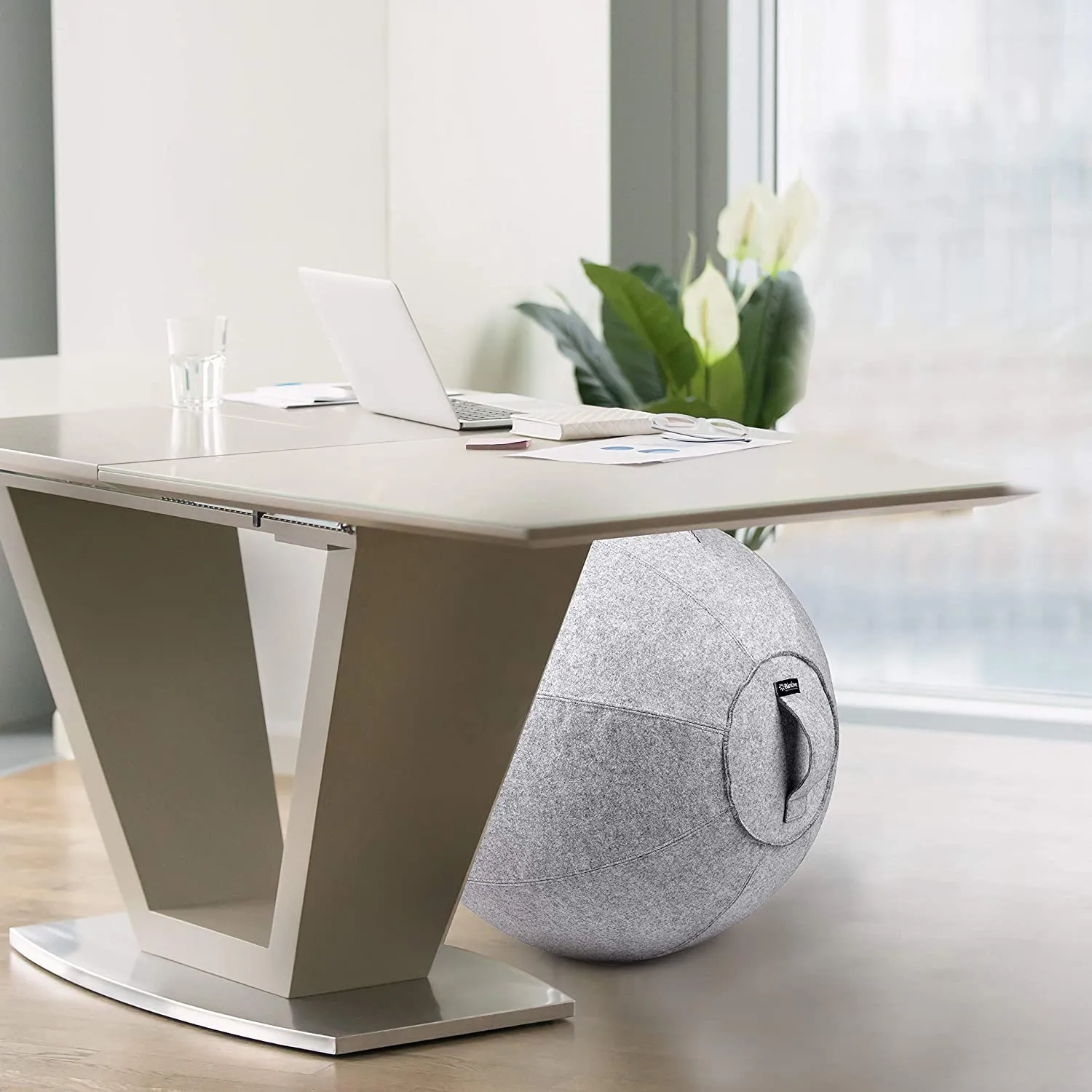 Stability Ball 65cm with Canvas Cover