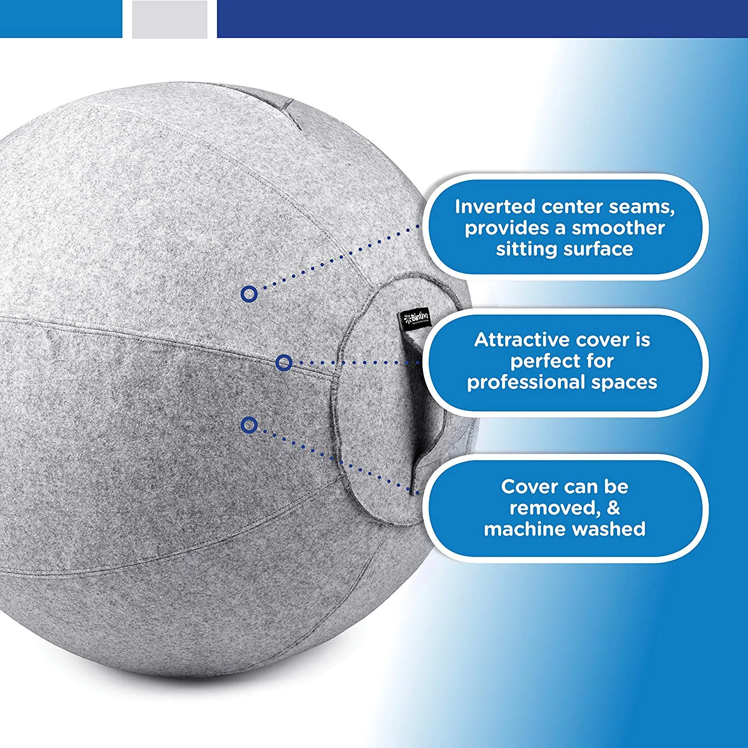 Stability Ball 65cm with Canvas Cover